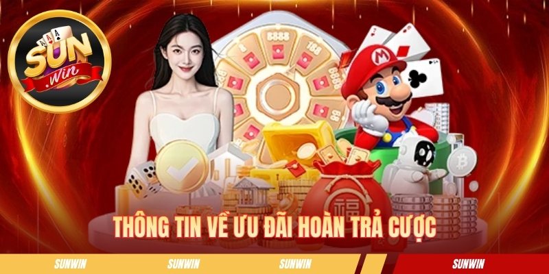 Thông tin về ưu đãi hoàn trả cược