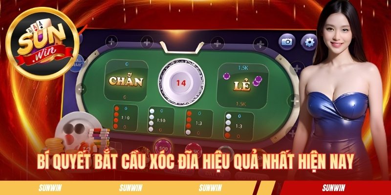 Bí quyết bắt cầu xóc đĩa hiệu quả nhất hiện nay